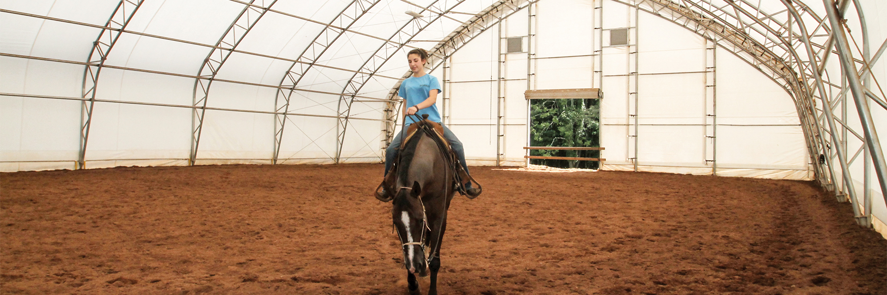 Girl riding a horse in a fabric structure