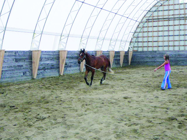 Horse Riding Arena