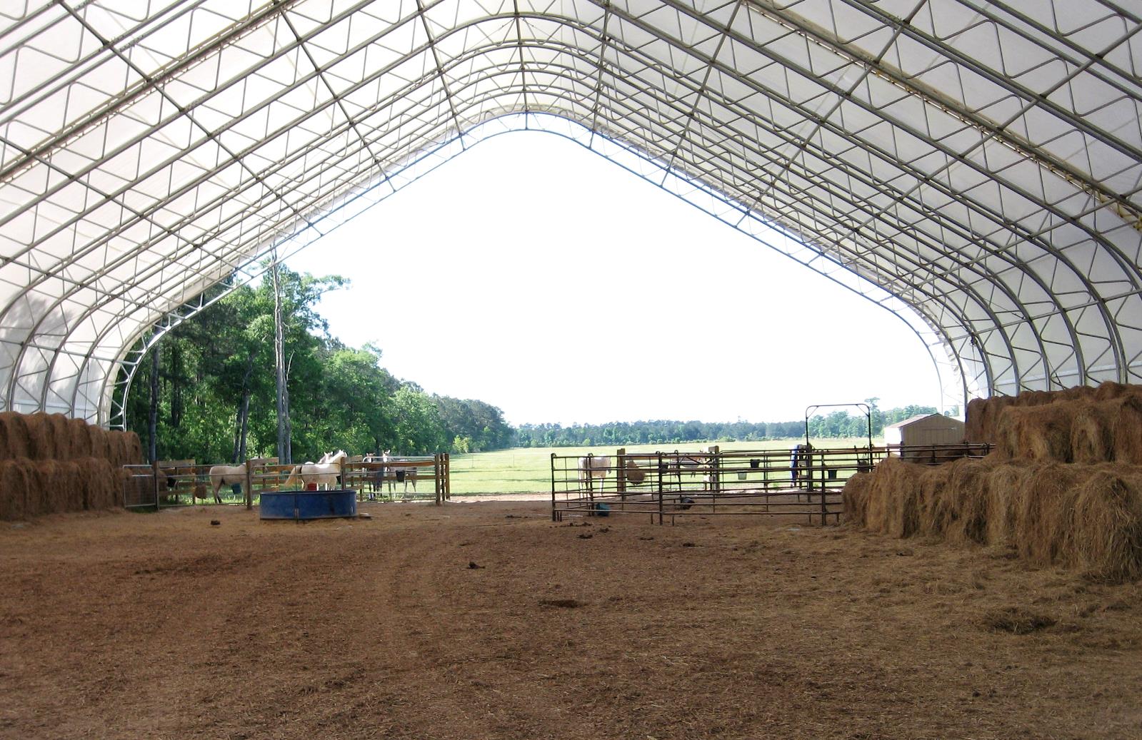 Horse riding Arena Inside Case Study Photo