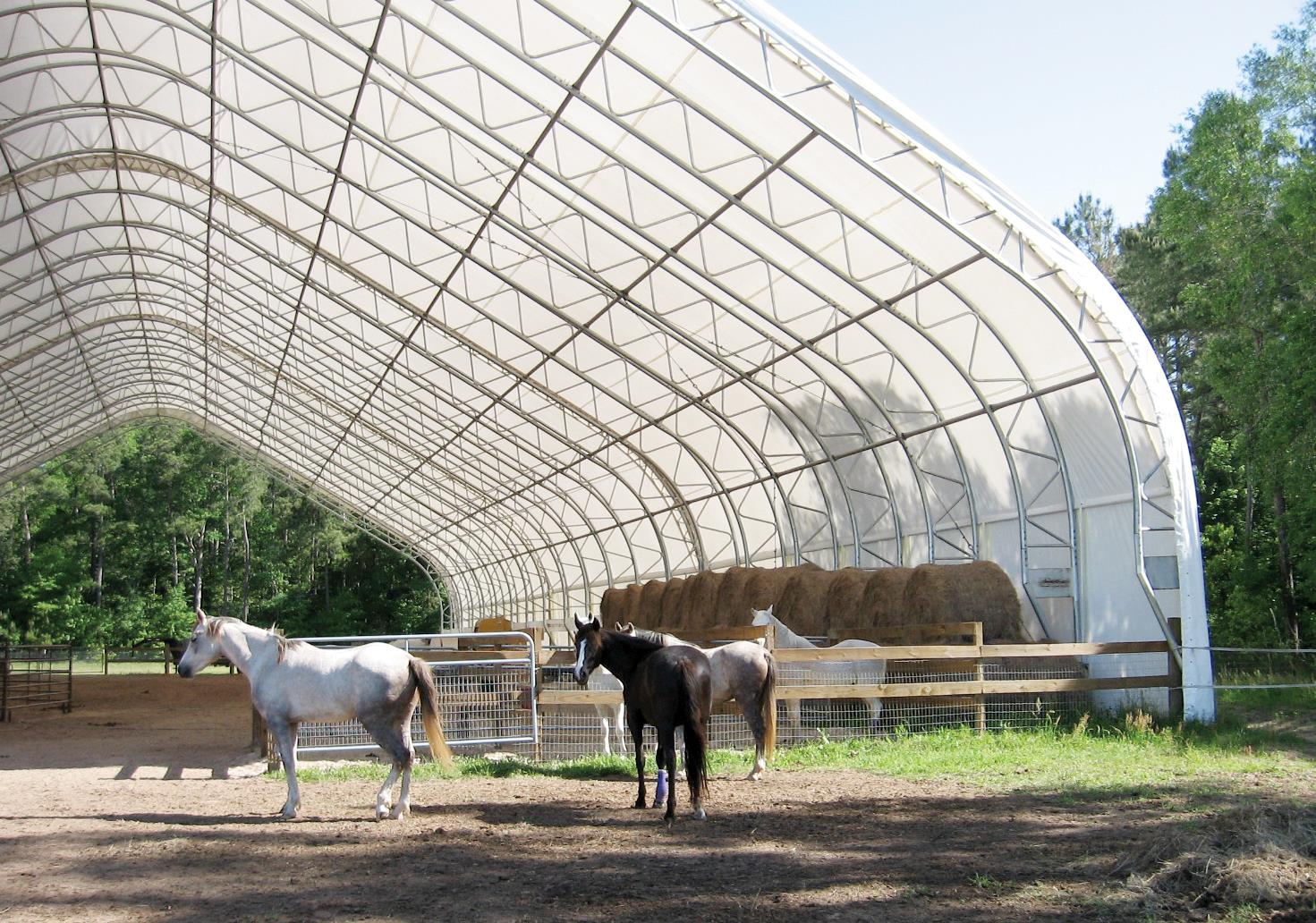 Horse riding Arena Case Study Photo