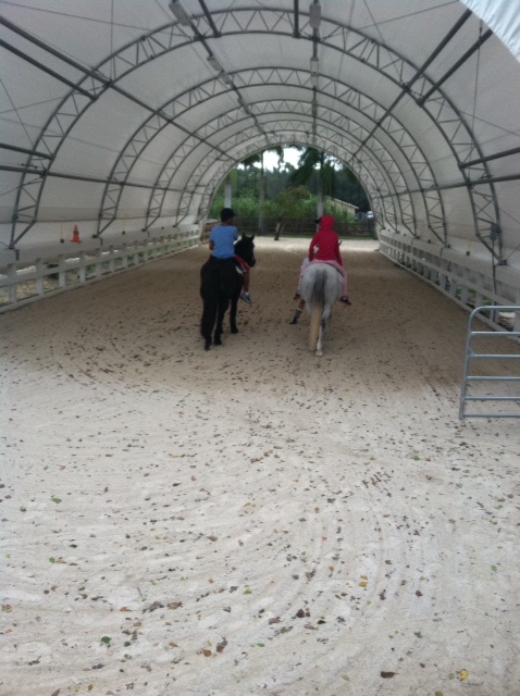 Round HD Building with lighting and horse riding