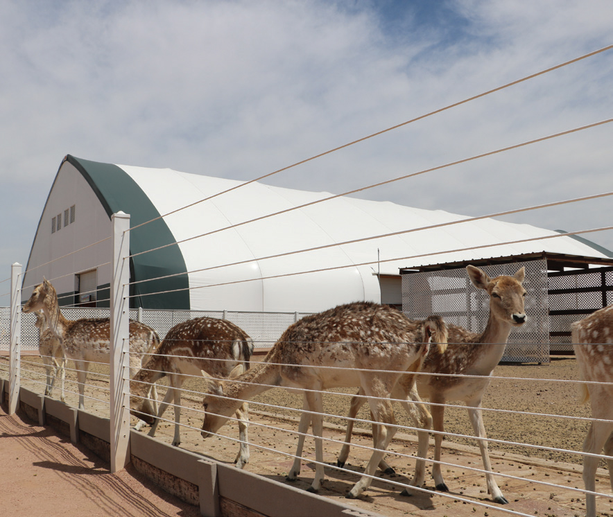 Animals outside a gable style fabric building