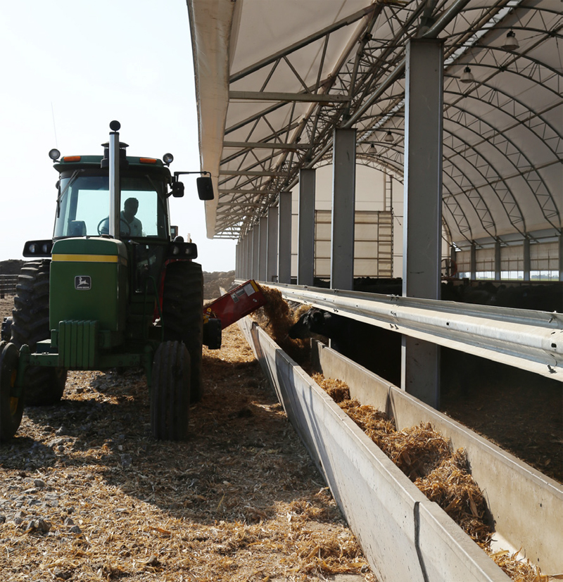 Wichmann Farms feeding livestock