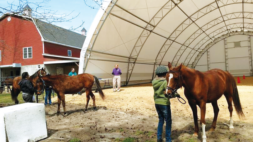 Legacy Farms - Horse Riding Demonstration in fabric building