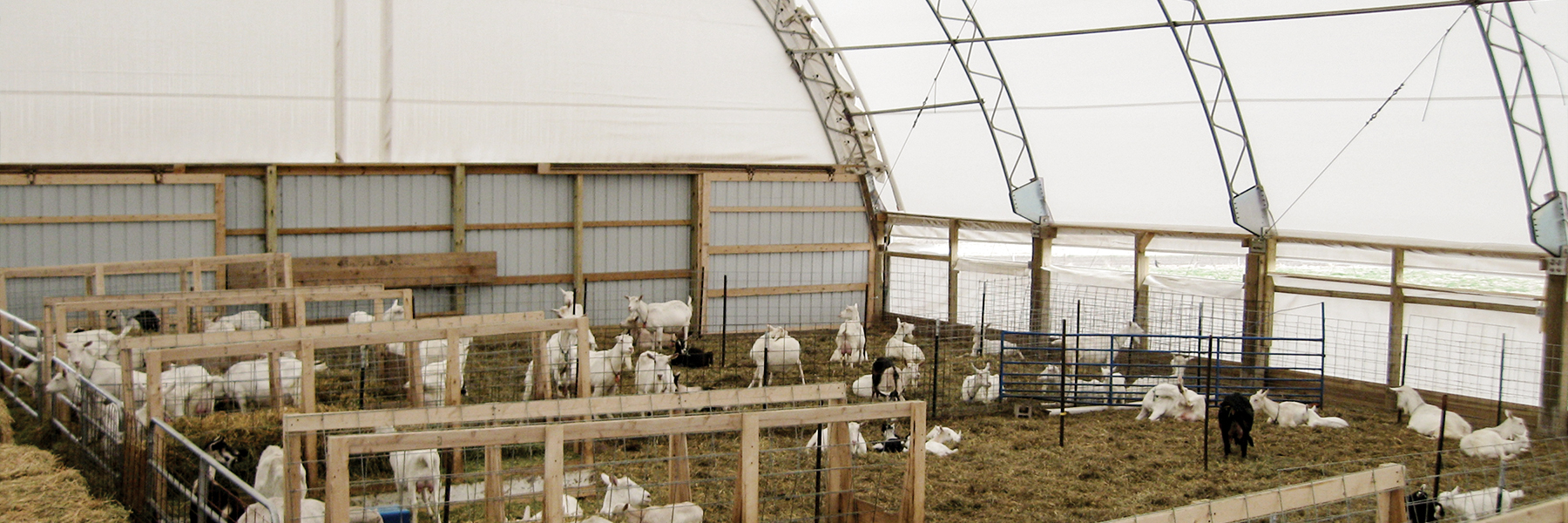 Livestock Shelters ClearSpan